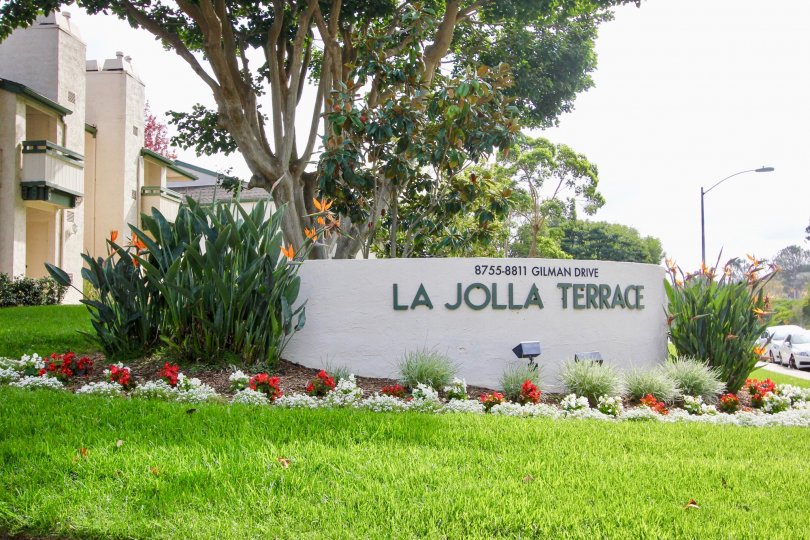 La Jolla Terrace La Jolla CA